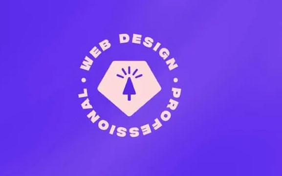 Ran Segall – Web Design-Becoming a Professional