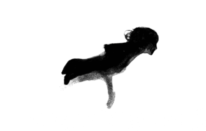 Cole Schafer – Freelancing your way to $100,000