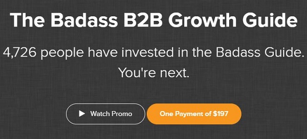 [GroupBuy] The Badass B2B Growth Guide
