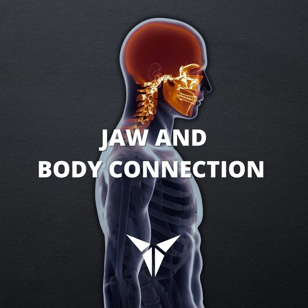 [GroupBuy] JAW AND BODY CONNECTION