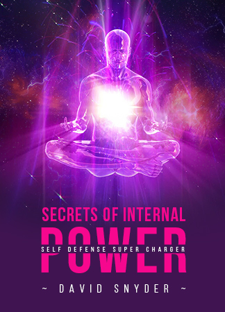 David Snyder – Secrets of Internal Power – Self Defense Supercharger David Snyder – Secrets of Internal Power – Self Defense Supercharger