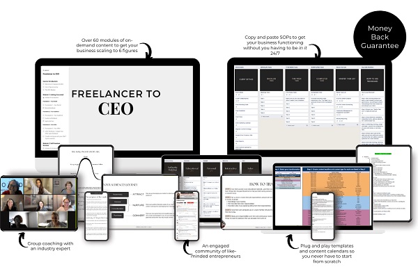 suzy-crawford-freelancer-to-ceo