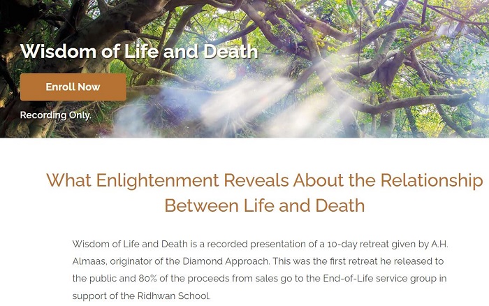 [Group Buy] Diamond Approach - Wisdom of Life and Death