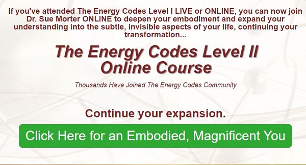 [Group Buy] The Energy Codes Online Course Level II – 2020