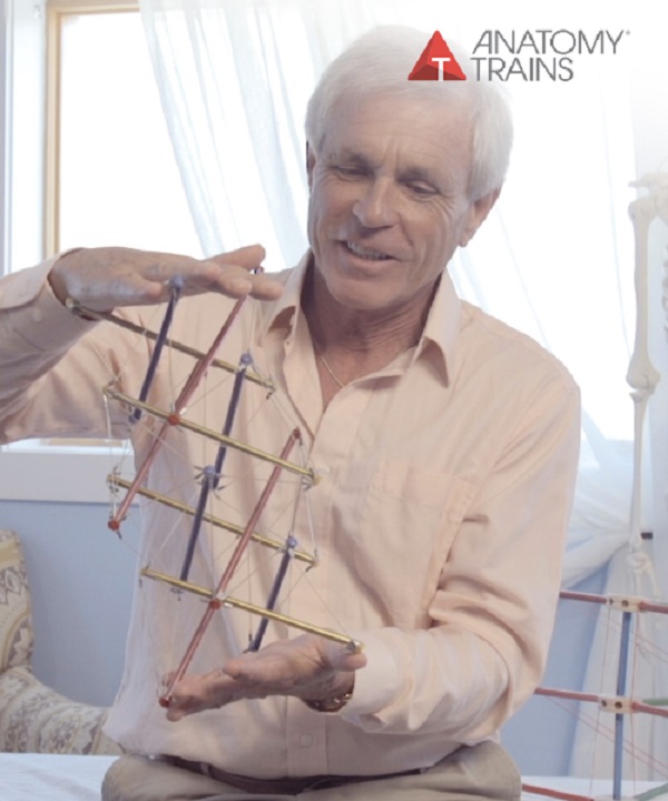 [GroupBuy] Tom Myers - Unwinding The Spine