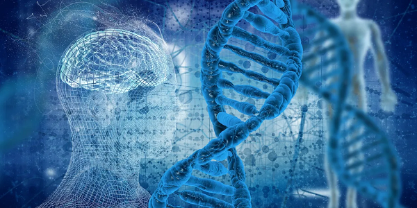 [Group Buy] Arcturian Healing Method  - Level 2: the Galactic Encodings