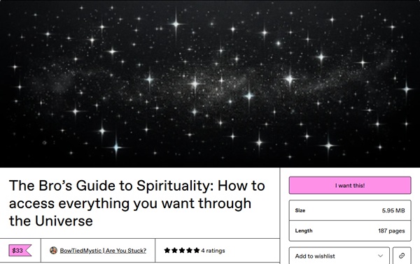 The Bro’s Guide to Spirituality - How to access everything you want through the Universe