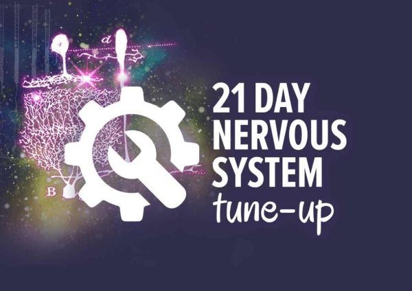 [GroupBuy] 21-Day Nervous System Tune-Up - Irene Lyon