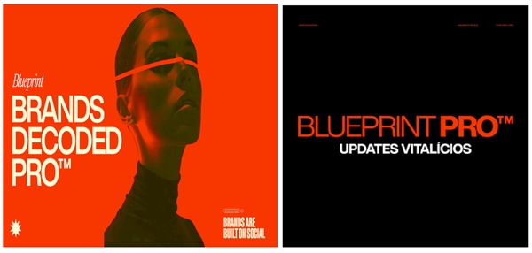 brandsdecoded-blueprintpro-lifetime-updates